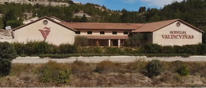 Bodegas Valdeviñas