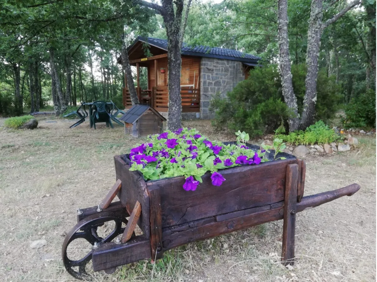 Foto 10