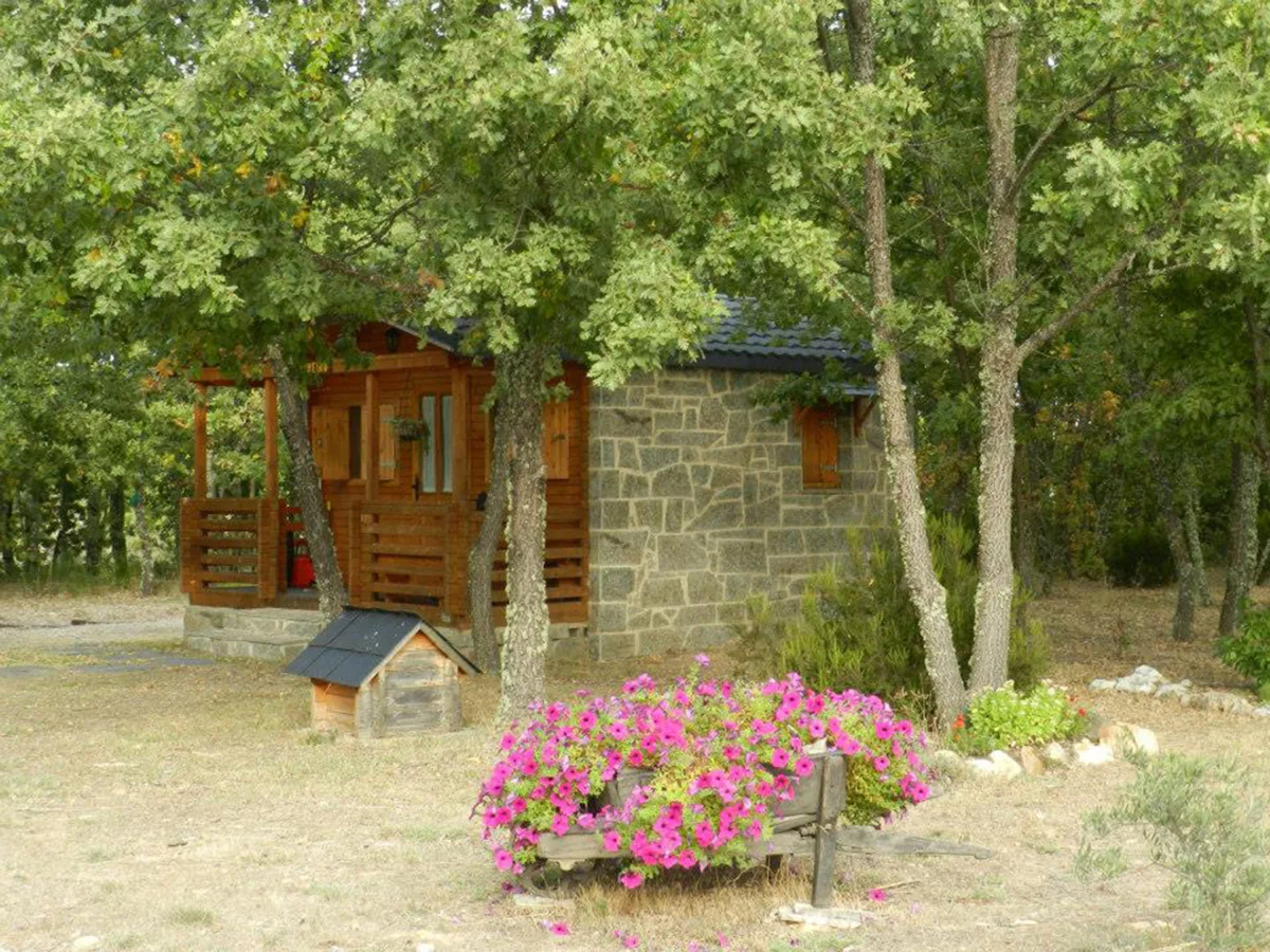 Foto 14