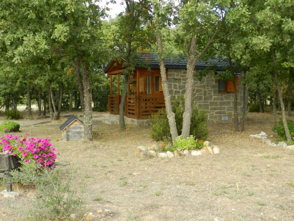 Foto 15