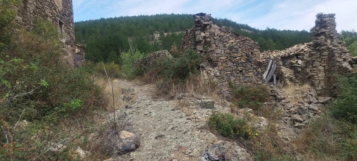 Armejún — foto 6