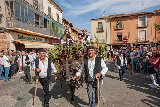 Fiesta de la Vendimia de Toro 2026 en Toro