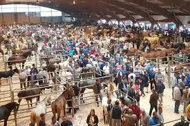 Foto 1 de Fiestas de la Ascensión 2026: Feria del Ganado y Pulpo en la Alameda