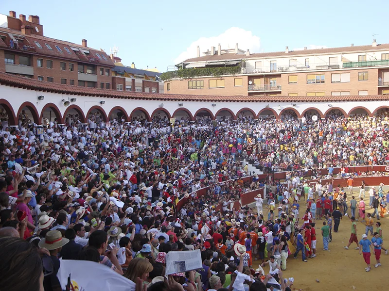 Foto 1 de Fiestas de San Juan Soria 2026 - Las Fiestas de la Madre de Dios