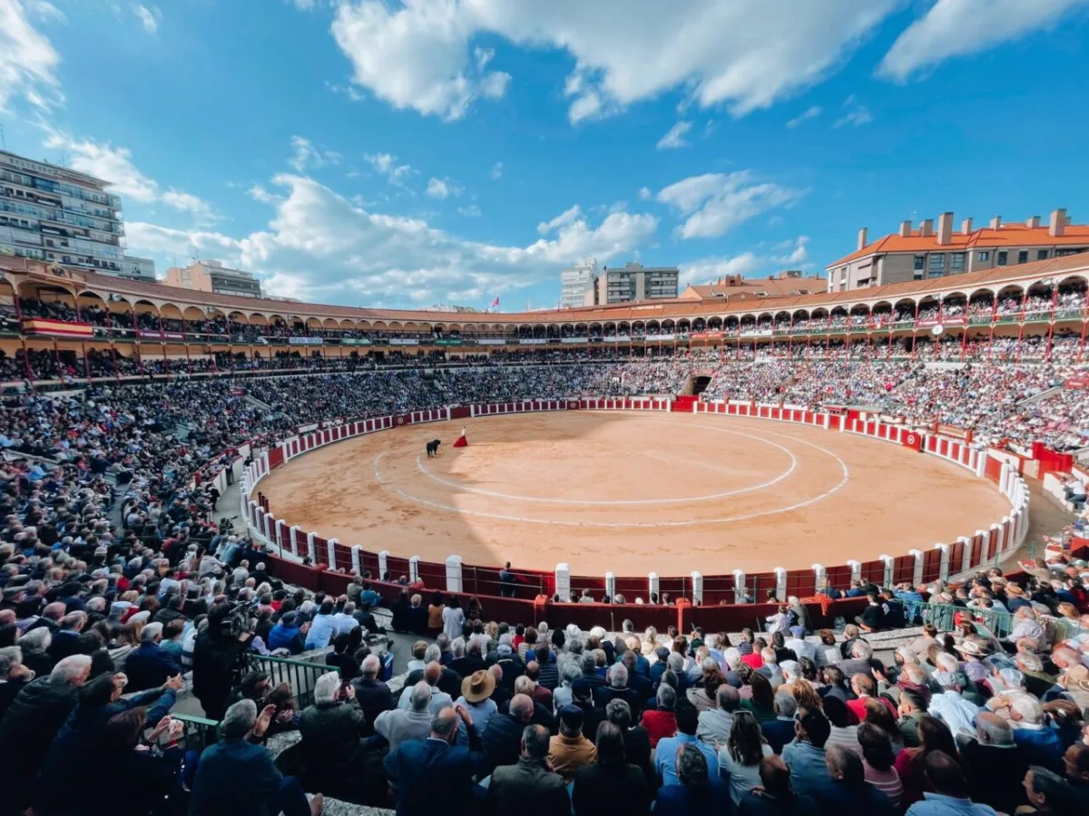 Foto 1 de Fiestas de San Pedro Regalado 2026 - Valladolid