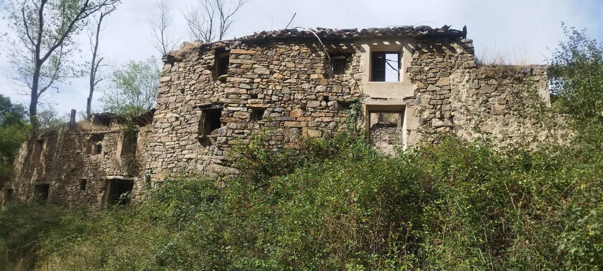 Armejún