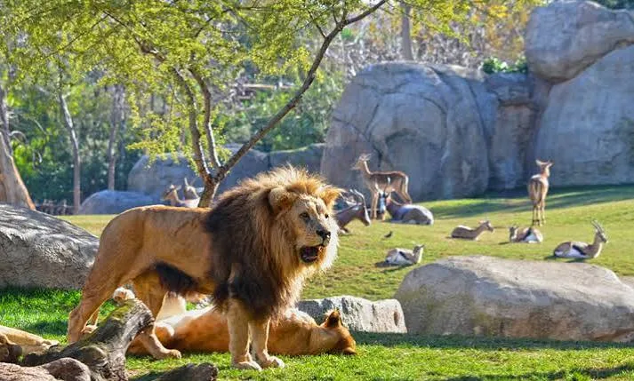 Bioparc Valencia