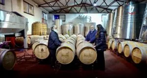 Bodegas de Pereña de la Ribera