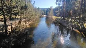 Entorno del Río de la Ojeda (Covaleda) — Covaleda, Soria
