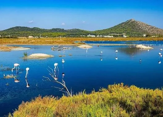 Parque Natural de la Albufera