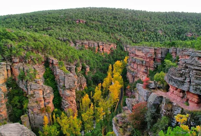 Parque Natural del Alto Tajo