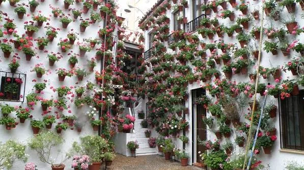 Los Patios de Córdoba
