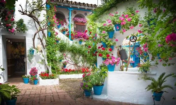 Los Patios de Córdoba — foto 2