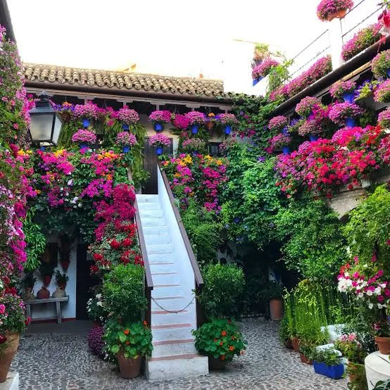 Los Patios de Córdoba — foto 3
