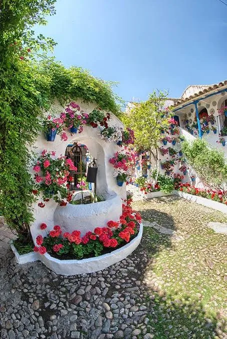 Los Patios de Córdoba — foto 4