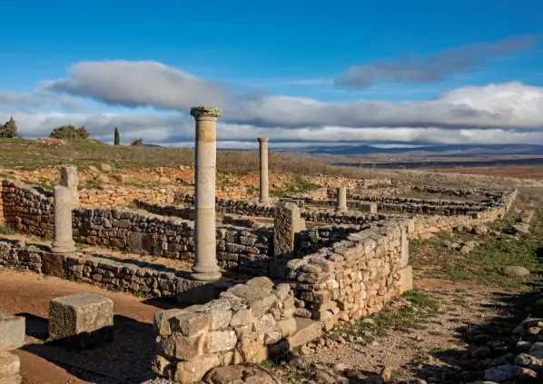 Visita Guiada al Yacimiento de Numancia